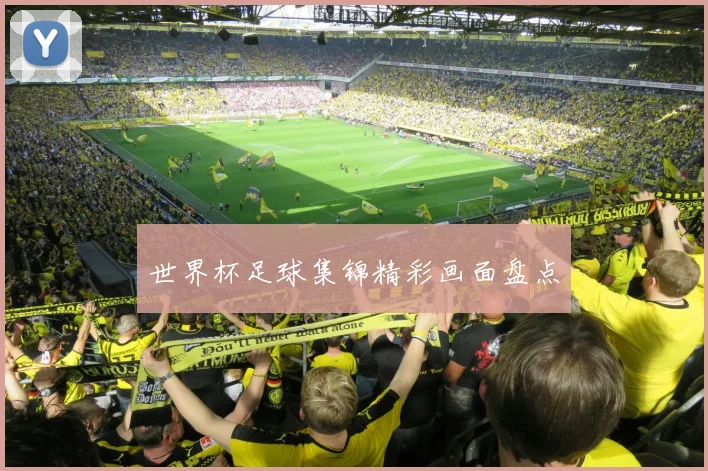世界杯足球集锦精彩画面盘点
