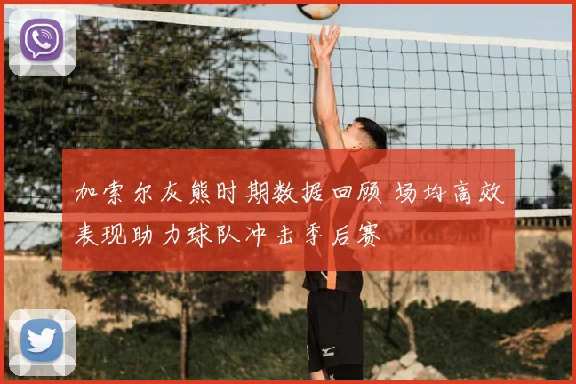 加索尔灰熊时期数据回顾 场均高效表现助力球队冲击季后赛