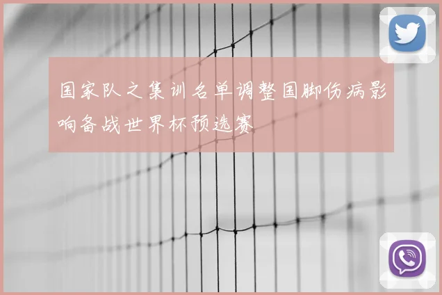 国家队之集训名单调整国脚伤病影响备战世界杯预选赛