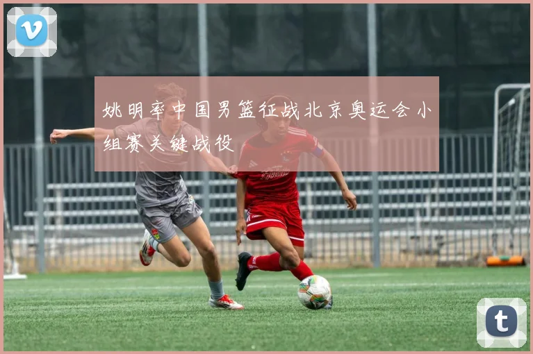 姚明率中国男篮征战北京奥运会小组赛关键战役