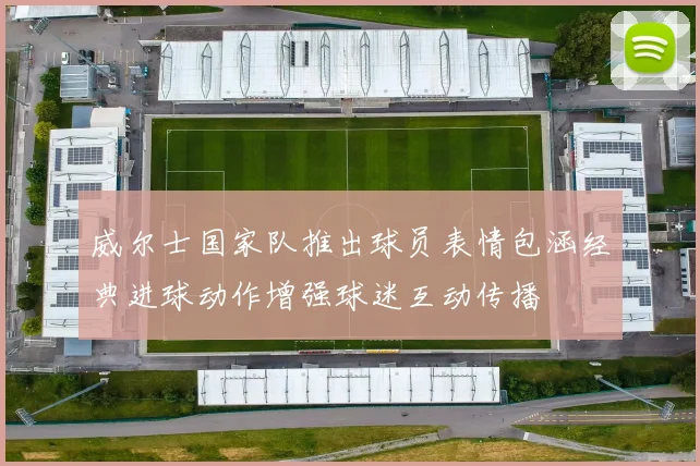 威尔士国家队推出球员表情包涵经典进球动作增强球迷互动传播